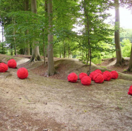 Land Art Installation – Isabelle Van Wylick